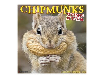 2020 Willow Creek 12 x 12 Wall Calendar, Chipmunks (Gone Nuts!), Multicolor (05859)