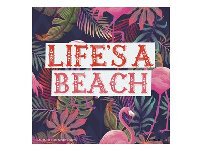 2020 Willow Creek 12 x 12 Wall Calendar, Lifes a Beach, Multicolor (06986)