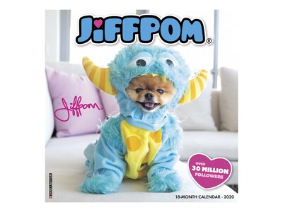 2020 Willow Creek 12 x 12 Wall Calendar, Jiffpom, Multicolor (06849)