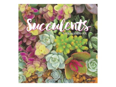 2020 Willow Creek 12 x 12 Wall Calendar, Succulents, Multicolor (07945)