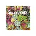 2020 Willow Creek 12 x 12 Wall Calendar, Succulents, Multicolor (07945)