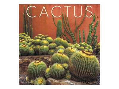 2020 Willow Creek 12 x 12 Wall Calendar, Cactus, Multicolor (05675)