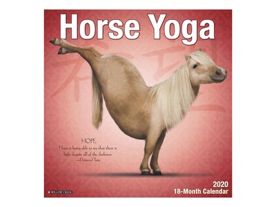 2020 Willow Creek 12 x 12 Wall Calendar, Horse Yoga, Multicolor (06702)