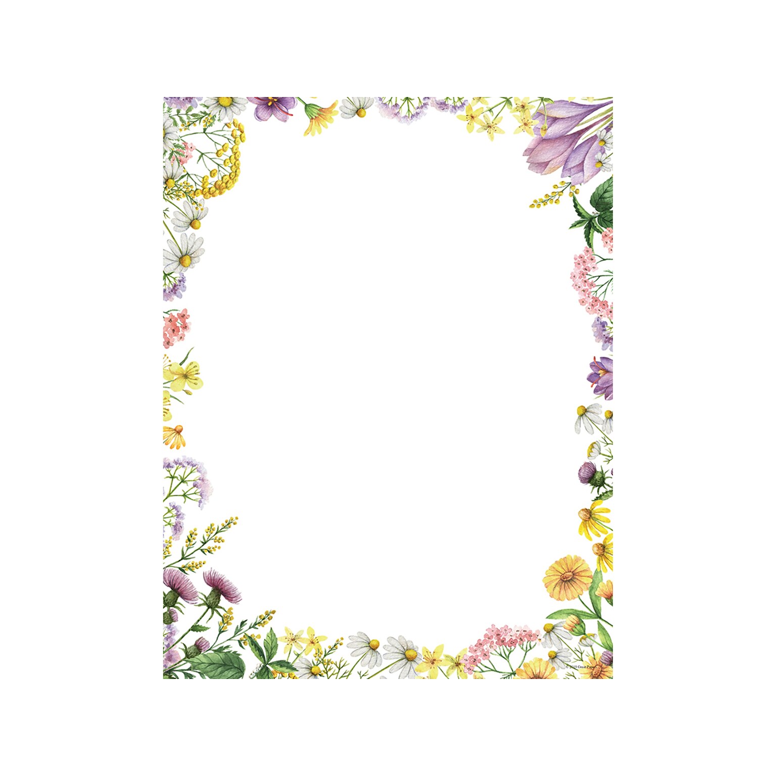 Great Papers! Flower Meadows Everyday Letterhead, Multicolor, 80/Pack (2019077)