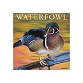 2020 Willow Creek 12 x 12 Wall Calendar, Waterfowl, Multicolor (08140)