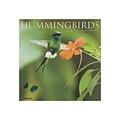 2020 Willow Creek 12 x 12 Wall Calendar, Hummingbirds, Multicolor (06733)