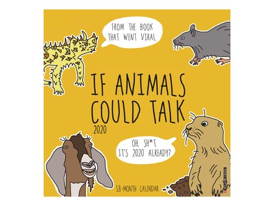 2020 Willow Creek 12 x 12 Wall Calendar, If Animals Could Talk, Multicolor (06764)