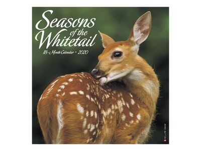 2020 Willow Creek 12 x 12 Wall Calendar, Seasons of the Whitetail, Multicolor (07792)