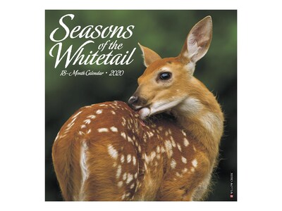 2020 Willow Creek 12 x 12 Wall Calendar, Seasons of the Whitetail, Multicolor (07792)