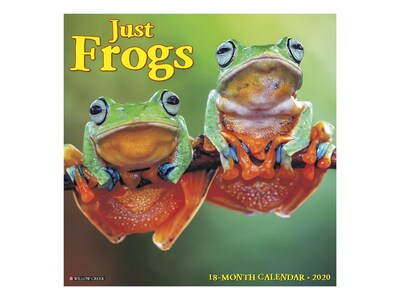 2020 Willow Creek 12 x 12 Wall Calendar, Just Frogs, Multicolor (09154)