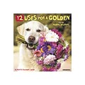 2020 Willow Creek 12 x 12 Wall Calendar, 12 Uses for a Golden, Multicolor (04944)