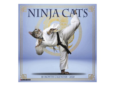 2020 Willow Creek 12 x 12 Wall Calendar, Ninja Cats, Multicolor (07280)