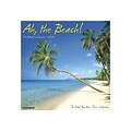 2020 Willow Creek 12 x 12 Wall Calendar, Ah, The Beach!, Multicolor (05064)