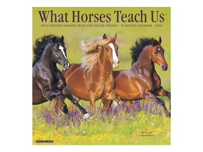 2020 Willow Creek 12 x 12 Wall Calendar, What Horses Teach Us, Multicolor (08225)