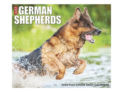 2020 Willow Creek 4.25 x 5.25 Desk Calendar, Just German Shepherds, Multicolor (08867)