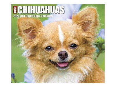 2020 Willow Creek 4.25 x 5.25 Desk Calendar, Just Chihuahuas, Multicolor (08805)