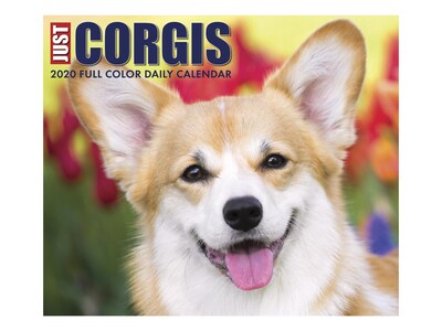 2020 Willow Creek 4.25 x 5.25 Desk Calendar, Just Corgis, Multicolor (08829)