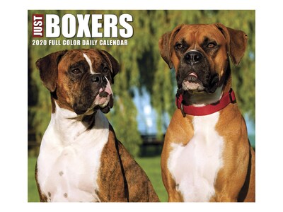 2020 Willow Creek 4.25 x 5.25 Desk Calendar, Just Boxers, Multicolor(08782)