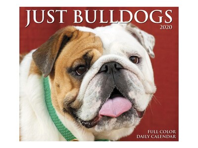 2020 Willow Creek 4.25 x 5.24 Desk Calendar, Just Bulldogs, Multicolor (08799)