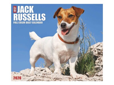 2020 Willow Creek 4.25 x 5.25 Desk Calendar, Just Jack Russells, Multicolor (08904)