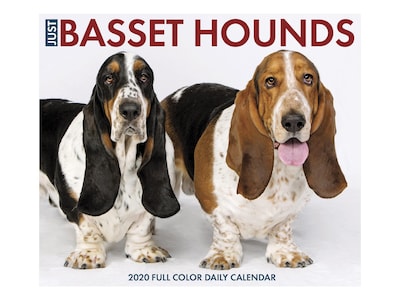 2020 Willow Creek 4.25 x 5.25 Desk Calendar, Just Basset Hounds, Multicolor (08744)