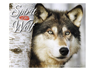 2020 Willow Creek 4.25 x 5.25 Desk Calendar, Spirit of the Wolf, Multicolor (08966)