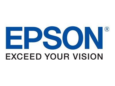 Epson T804700 Light Black Standard Yield Ink Cartridge