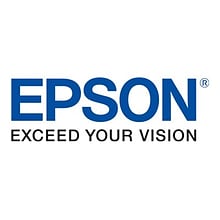 Epson T804700 Light Black Standard Yield Ink Cartridge