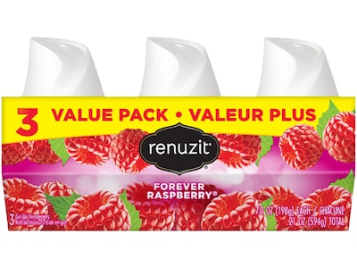 Renuzit Solid Air Freshener, Forever Raspberry, 7 oz., 3/Pack (DIA00801EA)