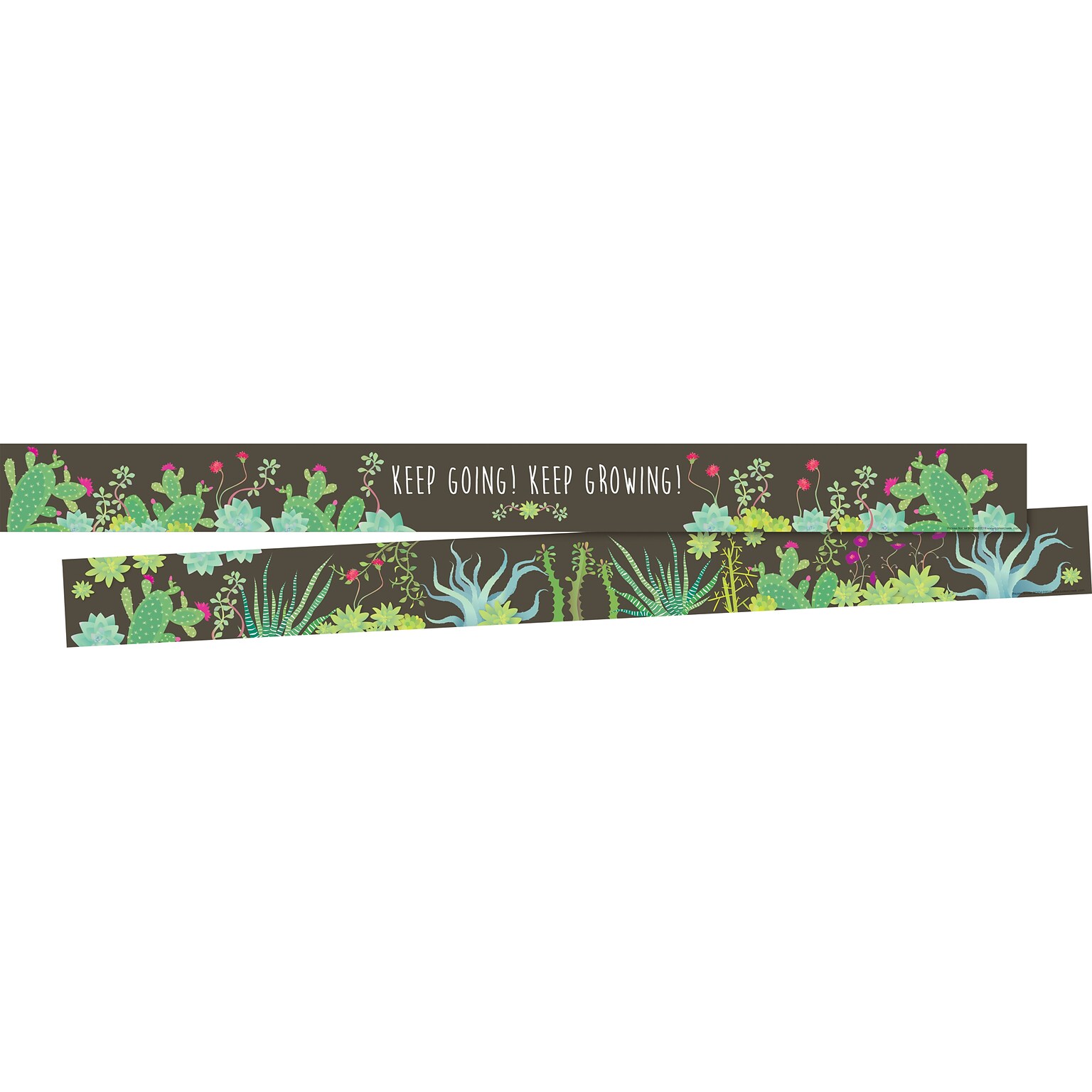 Barker Creek Double-Sided Border, 35 x 3, Prickles, 24/Pack (BC4014)
