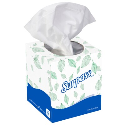 Surpass Boutique Standard Facial Tissue, 2-Ply, 110 Sheets/Box, 36 Boxes/Pack (21320)