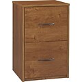 Ameriwood™ 24.12 Particle Board File Cabinet, 2-Drawer, Bank Alder (9524301PCOM)