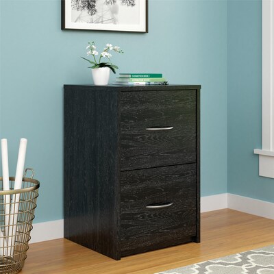 Ameriwood Home Core 2 Drawer Vertical File Cabinet Letter File