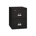 FireKing 25 Files 2-1825-C 2 Drawer Letter 2-Drawer Vertical File Cabinet, Fire Resistant, 25 (21825CBL)