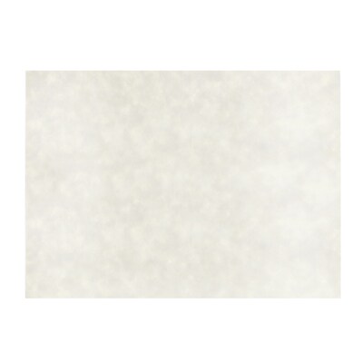 JAM Paper® Blank Flat Note Cards, 5 x 7, White Parchment, 250/Pack