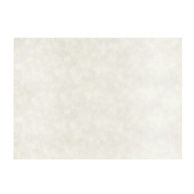 JAM Paper® Blank Flat Note Cards, 5 x 7, White Parchment, 250/Pack