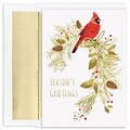 JAM Paper® Christmas Cards Boxed Set, Pine Perched Cardinal, 16/Pack