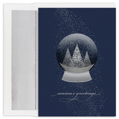 JAM Paper® Christmas Cards Boxed Set, Snow Globe, 16/Pack