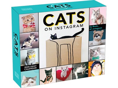2020 Assorted Publishers 5 x 6 Desk Calendar, Cats on Instagram, Multicolor (CB0895)