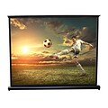 Pyle 50-inch Projector Viewing Display Screen, 9359914M Manual Retractable Pull-Out Style