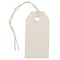 JAM Paper® Gift Tags with String, Tiny, 2 3/4 x 1 3/8, White, 10/Pack (391913522)