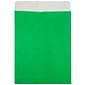 JAM Paper Tyvek Open End Clasp #13 Catalog Envelope, 10 x 13, Green, 10/Pack (V021379B)