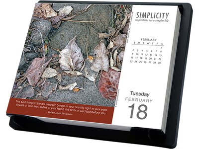 2020 Assorted Publishers 5 x 6 Day-to-Day Calendar, Simplicity, Multicolor (CB-0884)