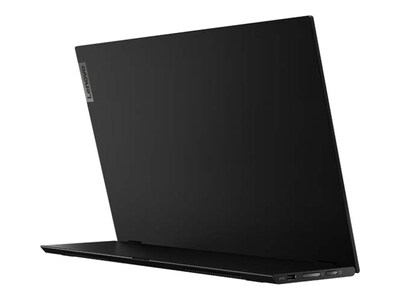Lenovo ThinkVision M14 61DDUAR6US 14