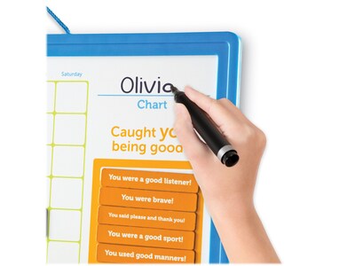 Learning Resources Good Job Reward Chart, Multicolor, 91 Tiles/Set (LER9580)