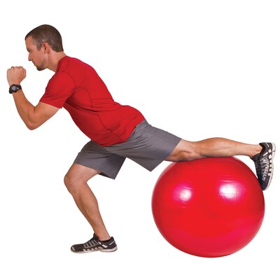 Gofit Red Exercise Ball With Pump, 21.6" (GF-55BALL)