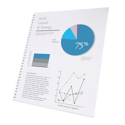 GBC 250 Sheet Pre-Punched Paper, 8 1/2 x 11 (2514479)