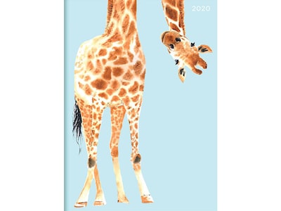 2020 TF Publishing 7.5 x 10.25 Planner, Jazzy Giraffe, Multicolor (20-4211)