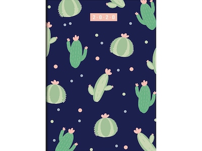 2020 TF Publishing 7.5 x 10.25 Planner, Cacti Dots, Multicolor (20-4205)