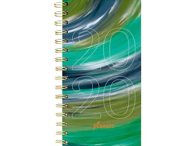 2020 TF Publishing 3.5 x 6.5 Planner, Painted Year, Multicolor (20-7713)